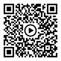 伪娘ts公众号